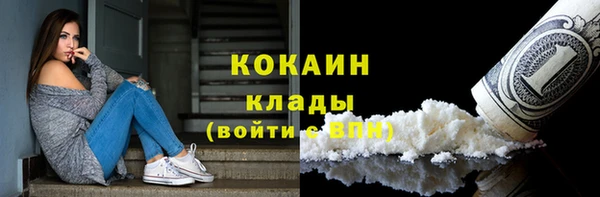 прущие крисы Тында