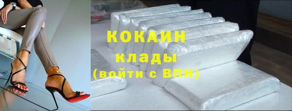 прущие крисы Тында